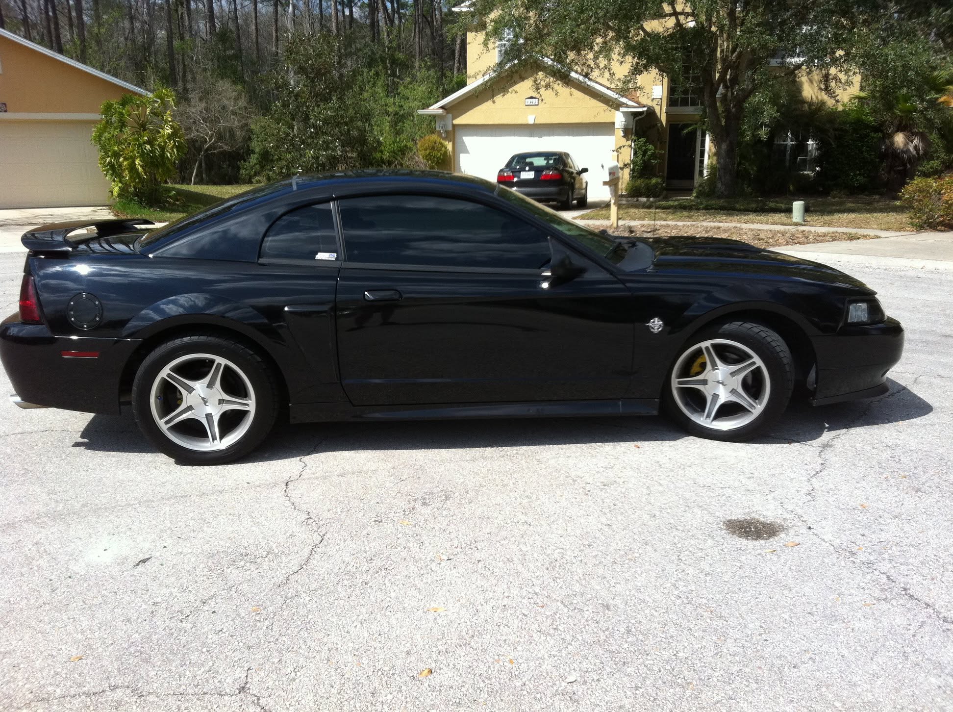 Next Came My Mustang